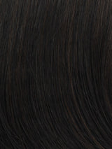 Sheer Elegance | Synthetic Lace Front Wig (Basic Cap)