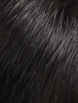 January | Synthetic Lace Front Wig (Mono Top)