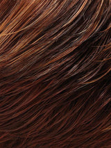 January | Synthetic Lace Front Wig (Mono Top)
