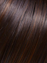 January | Synthetic Lace Front Wig (Mono Top)