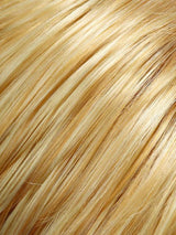 January | Synthetic Lace Front Wig (Mono Top)