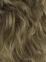 Sheer Elegance | Synthetic Lace Front Wig (Basic Cap)