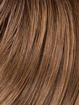 Sheer Elegance | Synthetic Lace Front Wig (Basic Cap)