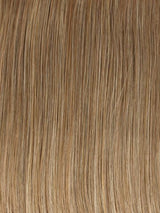 Sheer Elegance | Synthetic Lace Front Wig (Basic Cap)