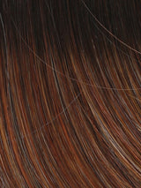 Sheer Elegance | Synthetic Lace Front Wig (Basic Cap)