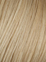 Gratitude | HF Synthetic Wig (Basic Cap)