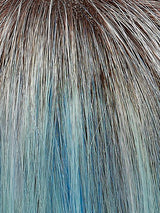 January | Synthetic Lace Front Wig (Mono Top)