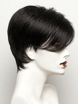 Disc | Synthetic Wig (Mono Part)