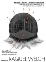 Trend Setter | Synthetic Wig (Basic Cap)